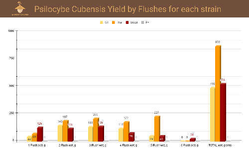Psilocybe cubensis yield by flushes and strains graph