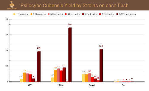 Psilocybe cubensis yield by strains and flushes graph